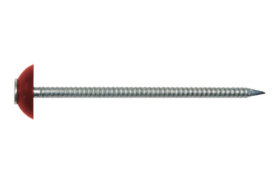 Scobanit Nägel – 2mm Breite, Rotbraun