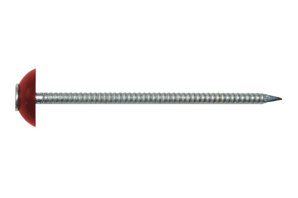Scobanit Nägel – 2mm Breite, Rotbraun kaufen – Produktbild freigestellt